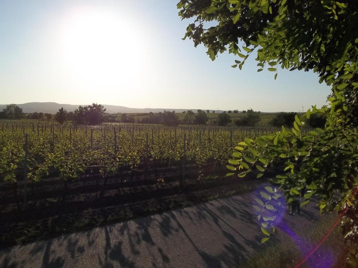 Fewo Pfalzwohnung Ellerstadt Dış mekan fotoğraf
